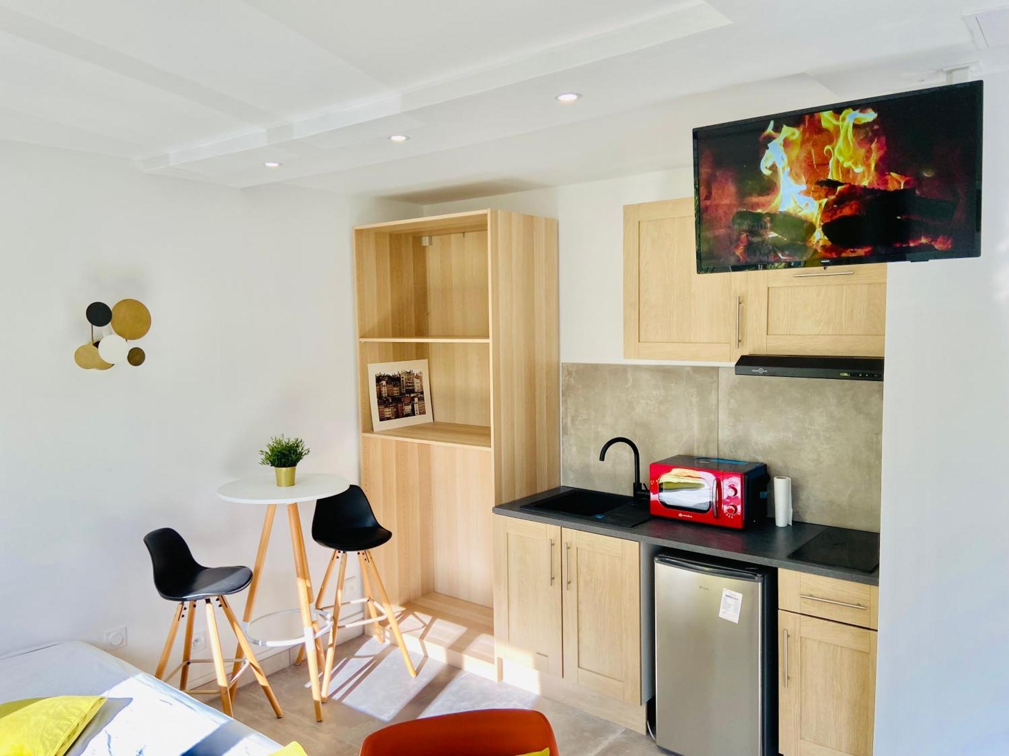 Apartment Le Baraban Lyon